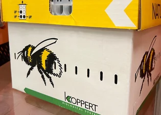 Koppert | Wireless Beehome